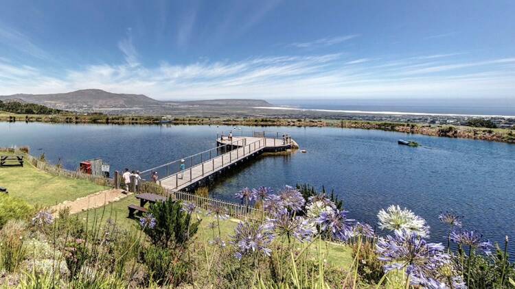 Cape Point Vineyards, Noordhoek Cape Point Vineyards, Noordhoek