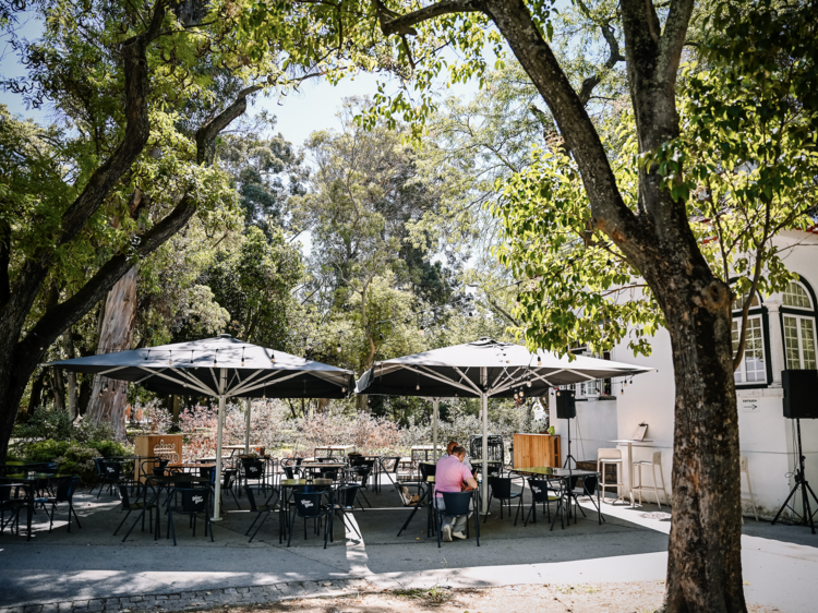 Festas às dez da manhã e agenda para todos. É o BrewClub Festas às dez da manhã e agenda para todos. É o BrewClub