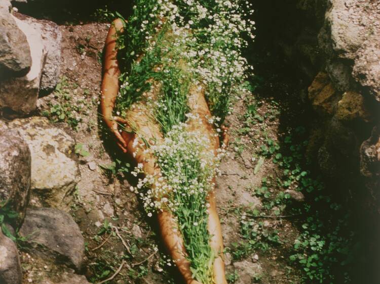 Ana Mendieta