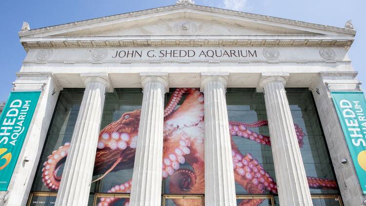Shedd Aquarium The exterior of the Shedd Aquarium.