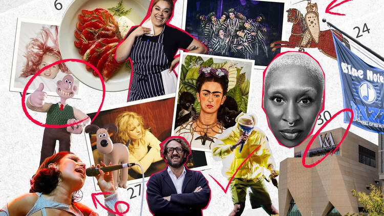 2026 preview package header image