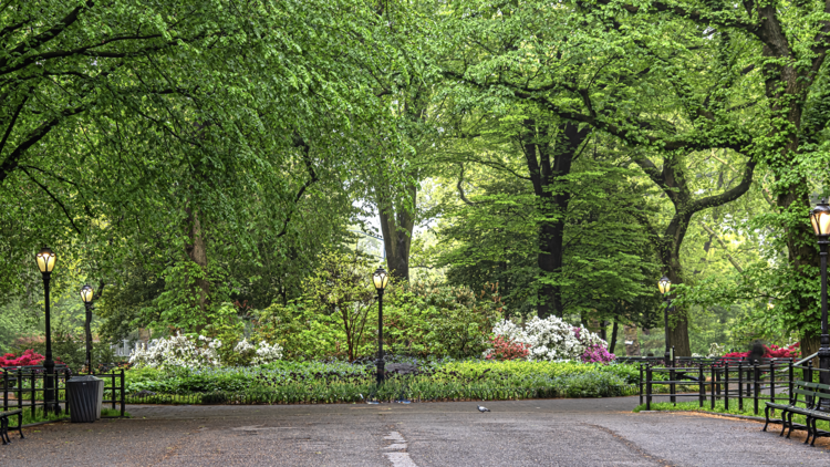 NYC in spring