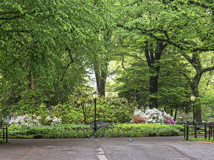 It might actually feel like spring in NYC this weekend