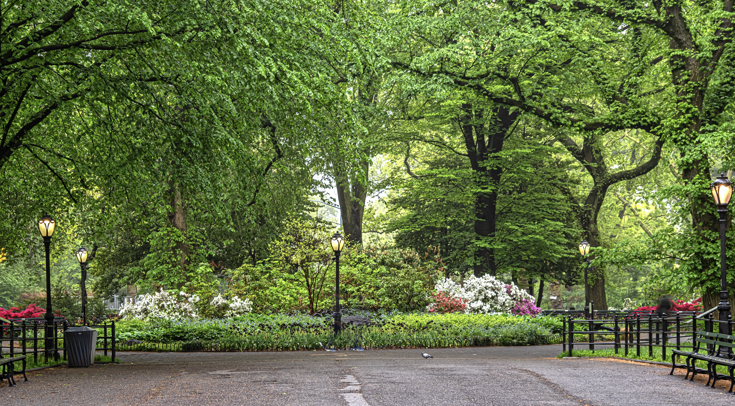 NYC is getting a sneak preview of spring this weekend