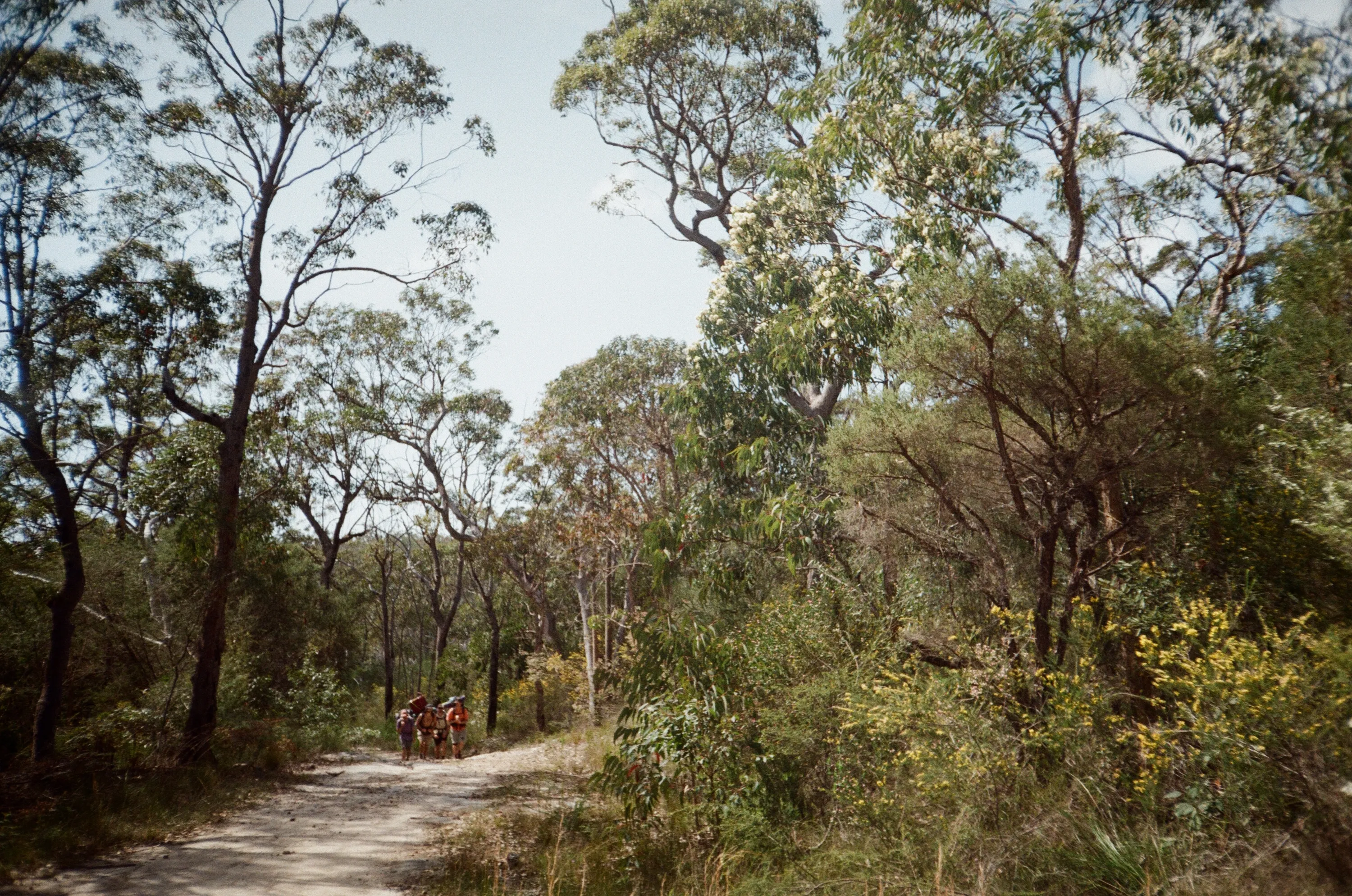 Wondabyne to Patonga hike