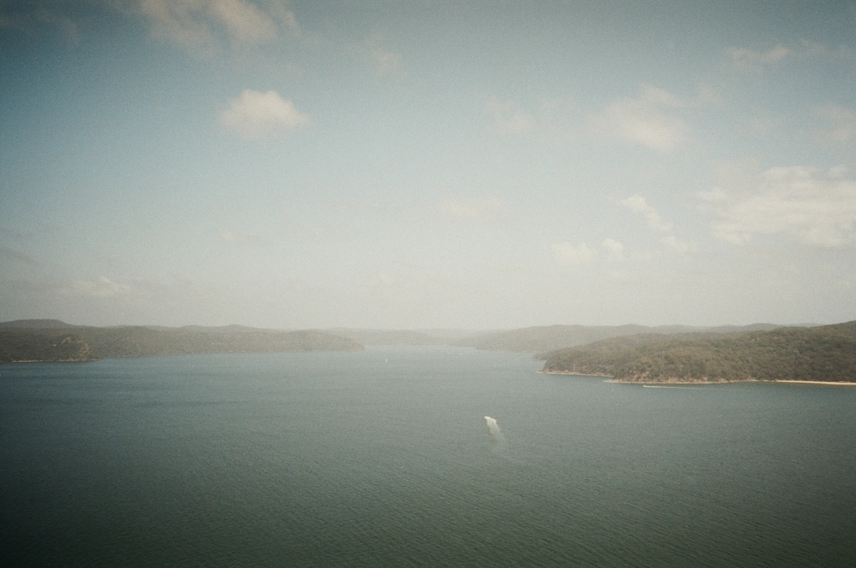 Wondabyne to Patonga hike