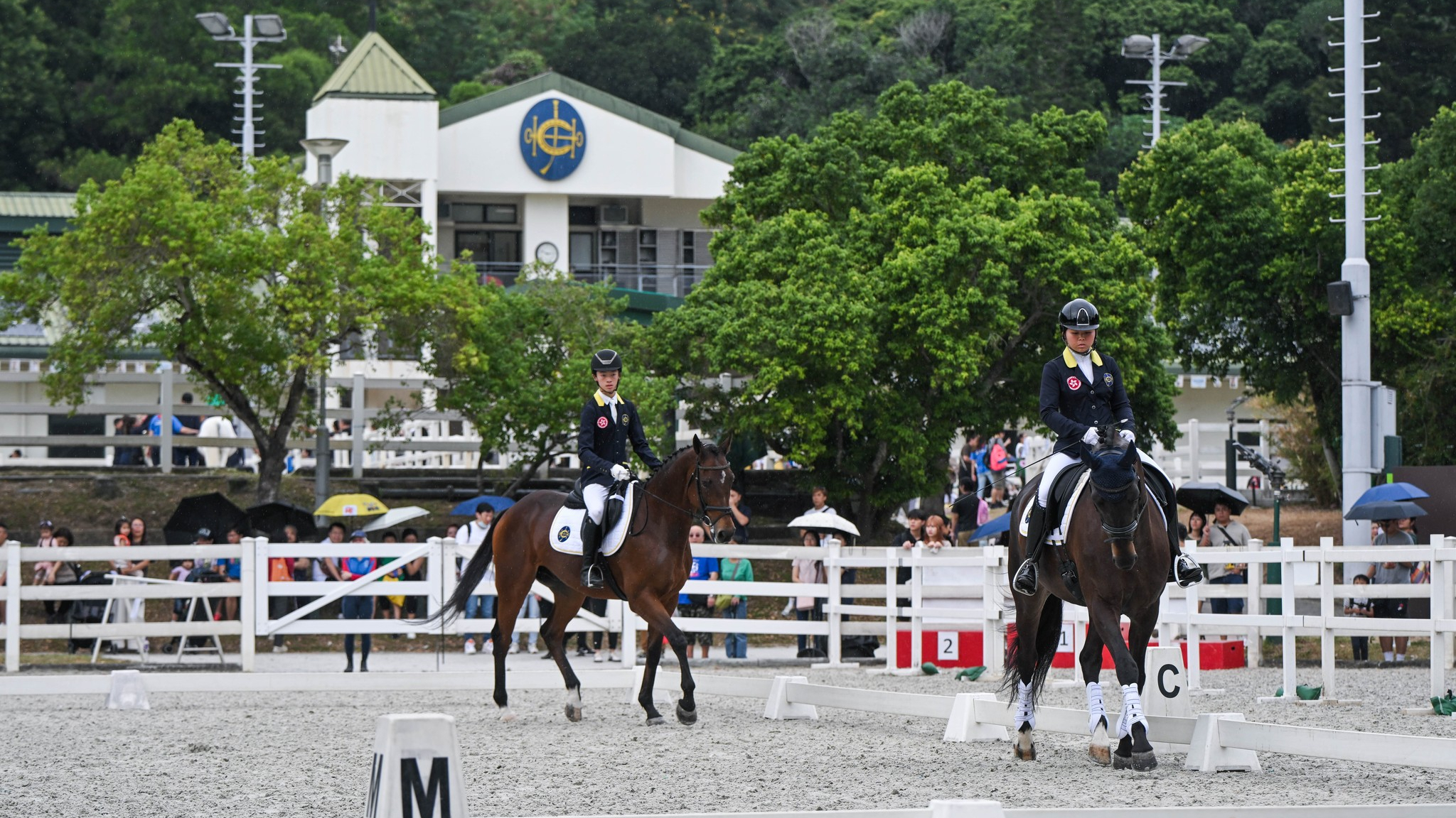 Hong Kong Jockey Club plans to open a fourth riding school in Tseung Kwan O