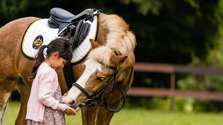 Hong Kong Jockey Club Beas River Equestrian Centre
