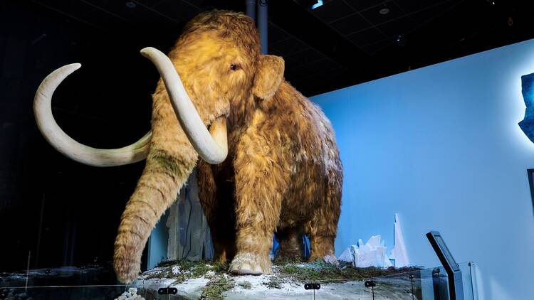 Jääkauden jättiläiset