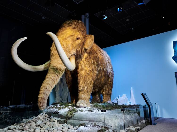 Jääkauden jättiläiset