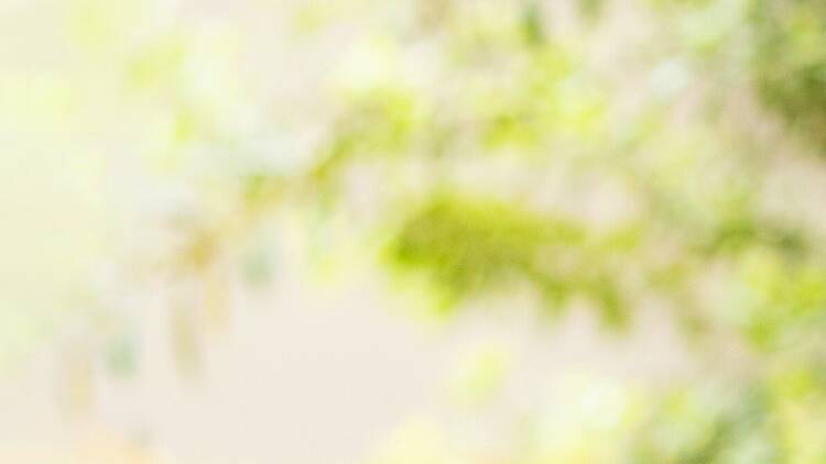 The Potluck Club at The Peech