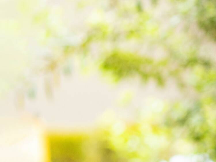 The Potluck Club at The Peech