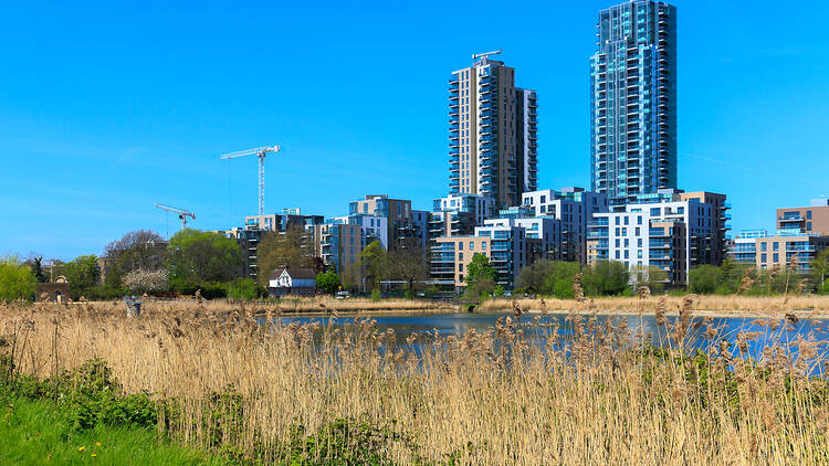 Woodberry Down, North London