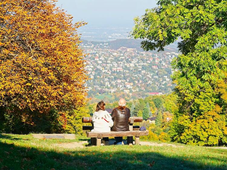 Kirándulj a Normafán