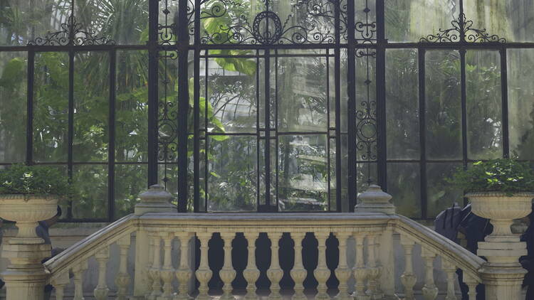 El Invernáculo del Jardín Botánico