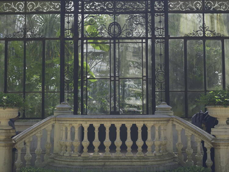 El Invernáculo del Jardín Botánico