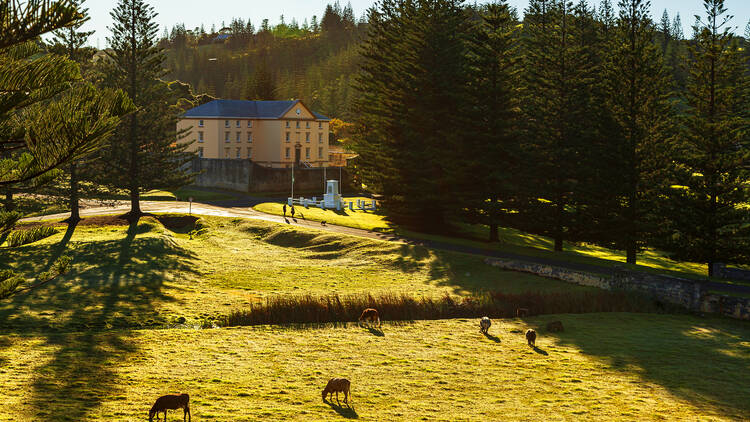 Norfolk Island, South Pacific
