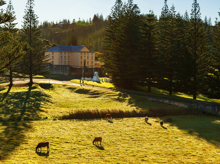 Norfolk Island, South Pacific