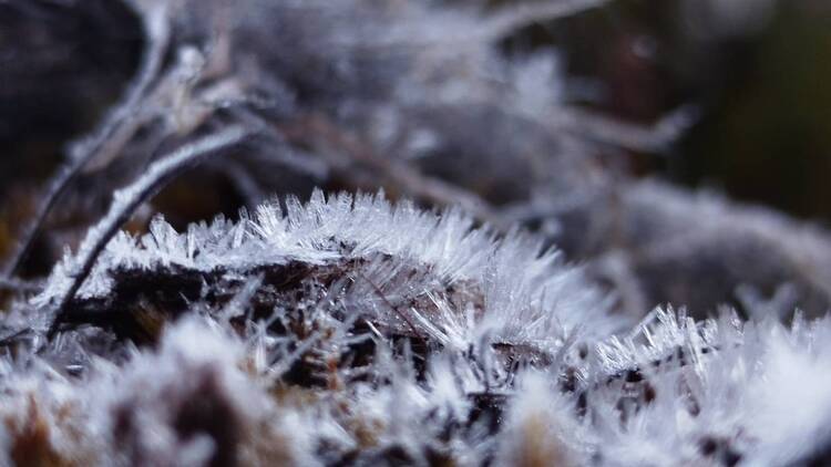 The Chiang Mai cold snap guide: 6 ways to embrace the chill