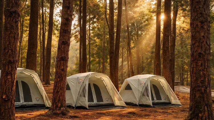 Head to the mountains Head to the mountains