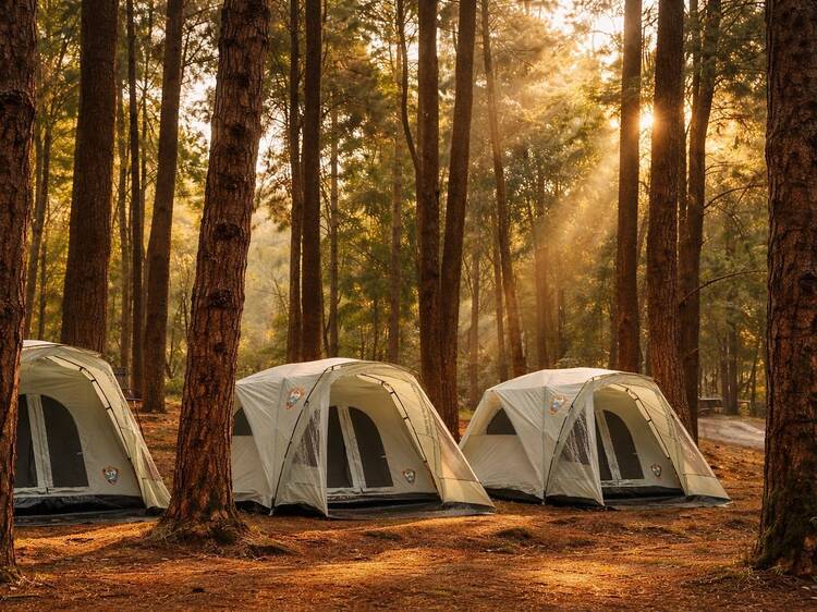 Head to the mountains Head to the mountains