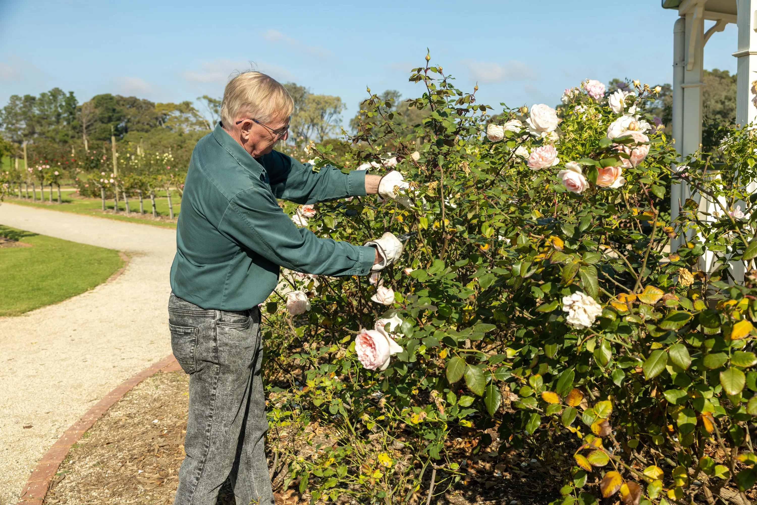 Victoria State Rose Garden