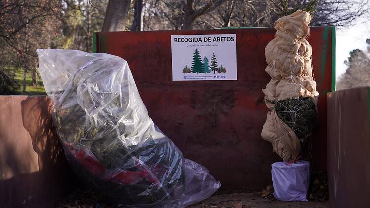 Campaña municipal de recogida de abetos. Ayuntamiento de Madrid
