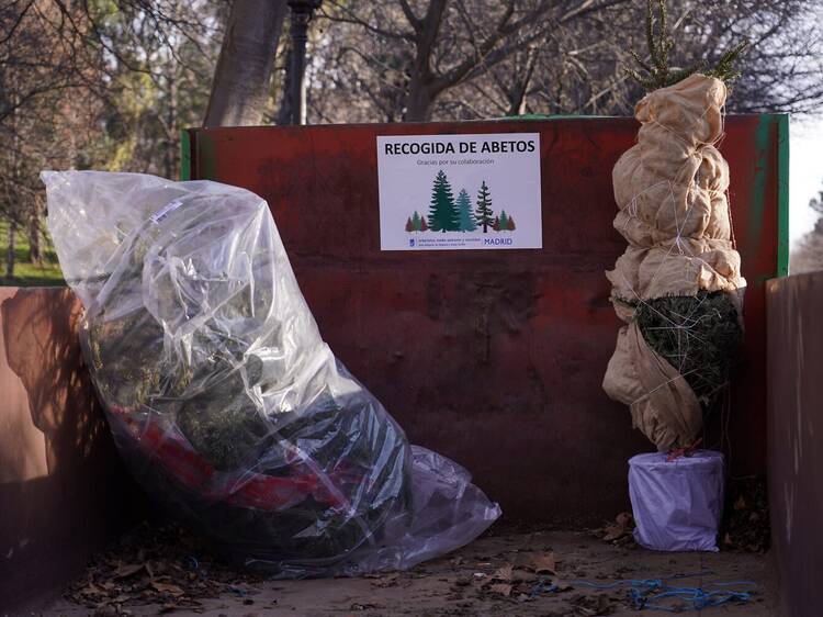 Así puedes darle una segunda vida a tu árbol de Navidad en Madrid: vuelve esta campaña que fomenta el reciclaje y evita el abandono