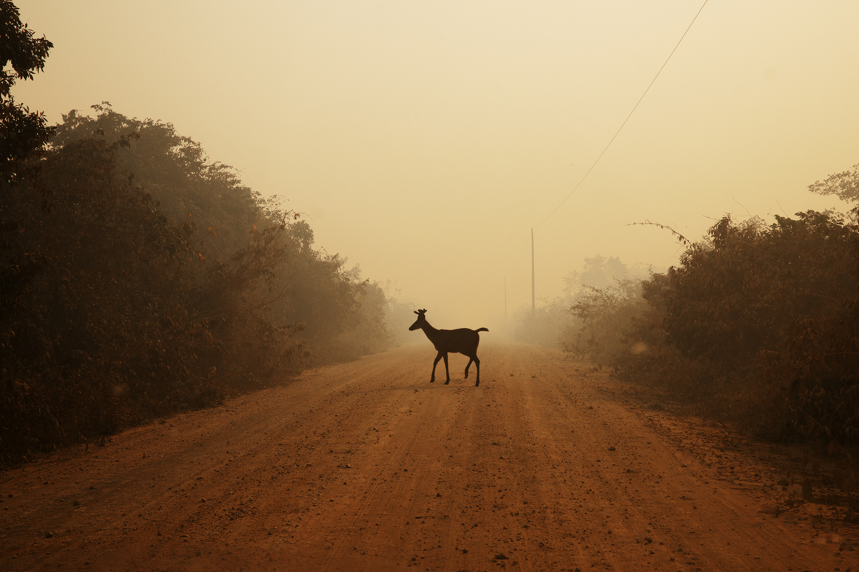 The 8 best photography exhibitions coming to London in 2026