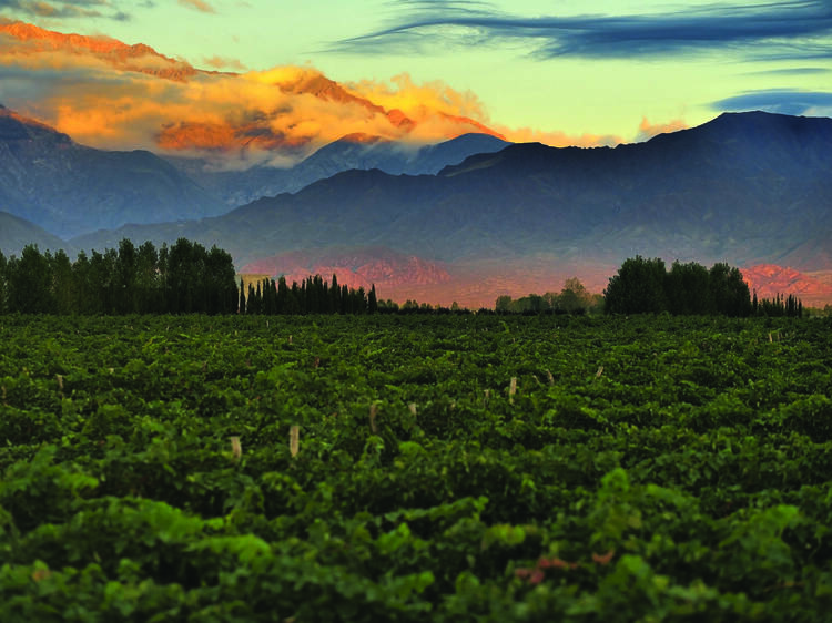 Mendoza, entre los mejores destinos del mundo para viajar en 2026