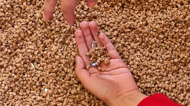 Mini domingos en el Museo Jumex