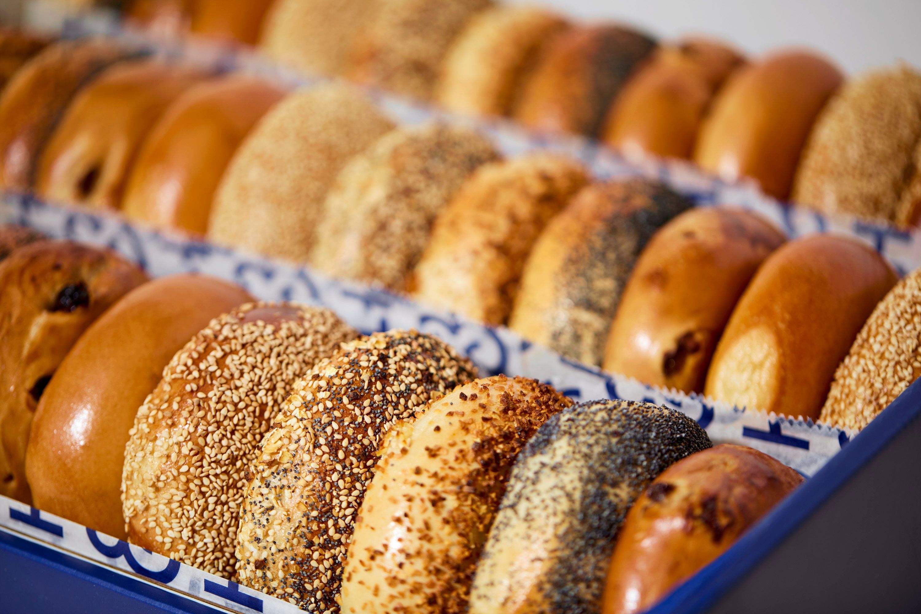 H&H is giving out free bagel and spreads in NYC next week