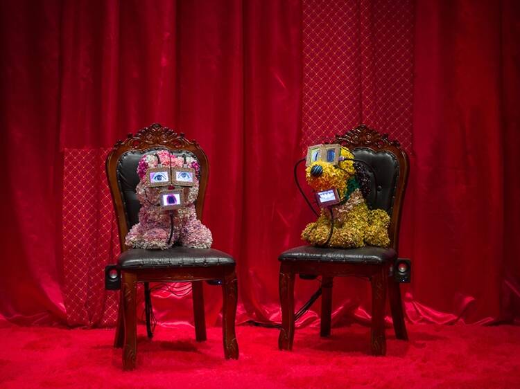 For a Placard For a Placard