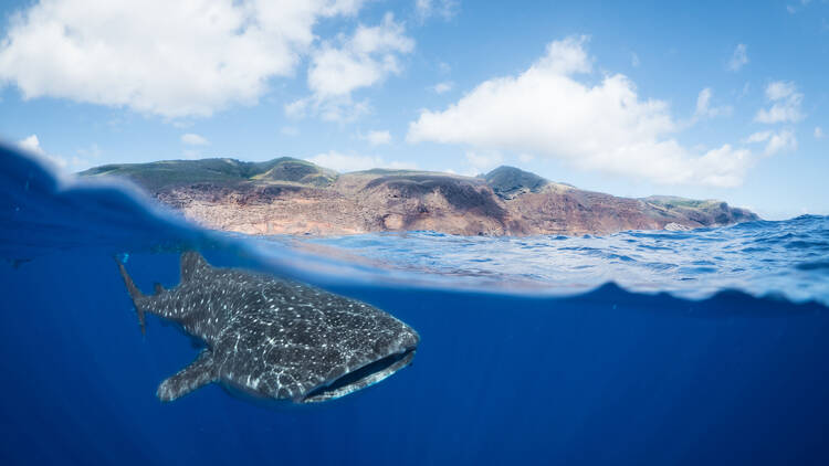 The ultimate guide to Saint Helena Island