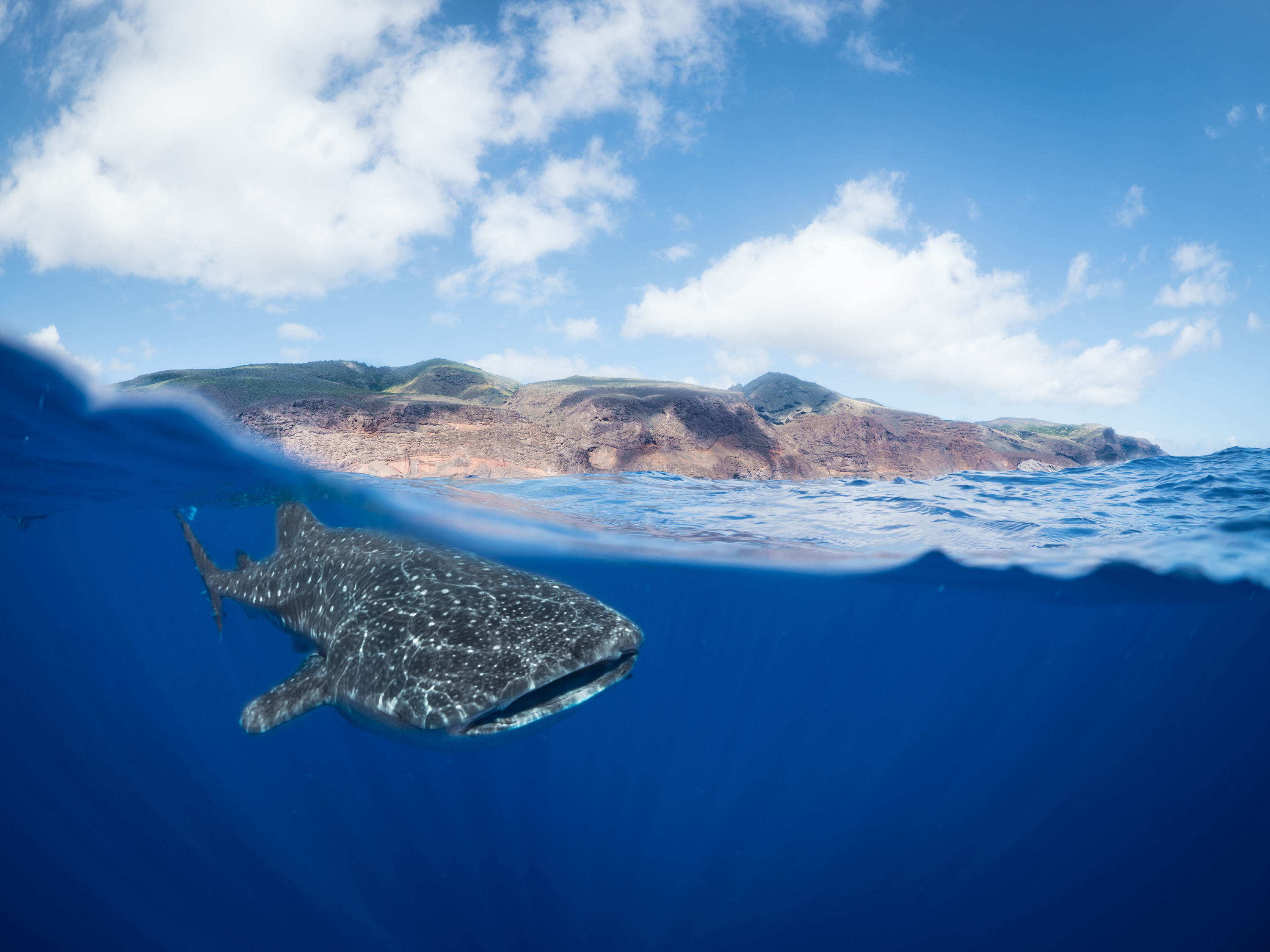 The ultimate guide to Saint Helena Island - Time Out