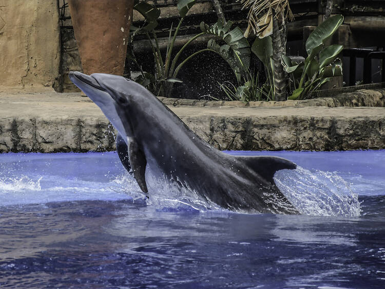 The 24 best things to do in Durban