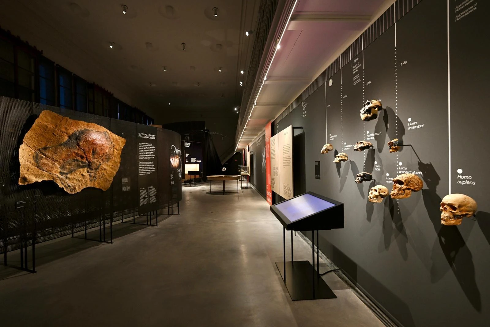 Museu de Ci&egrave;ncies Naturals de Barcelona I Foto: Pep Herrero/MCNB