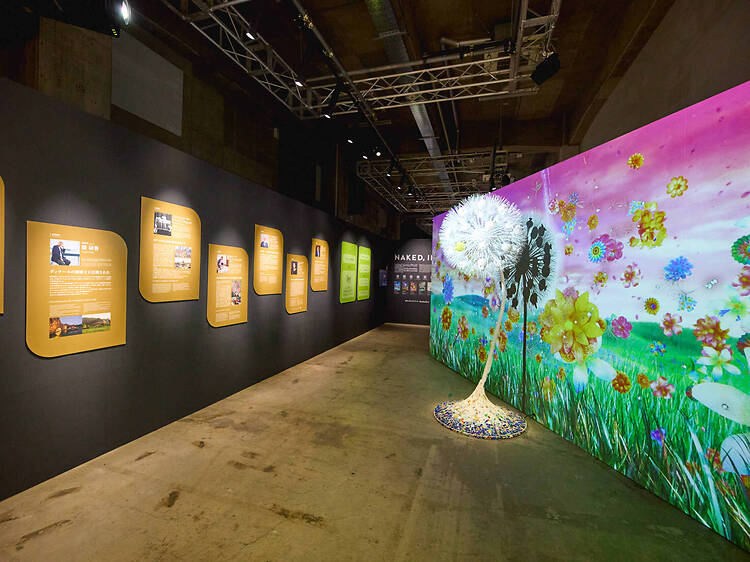 Naked Meets Gaudi Exhibition Naked Meets Gaudi Exhibition