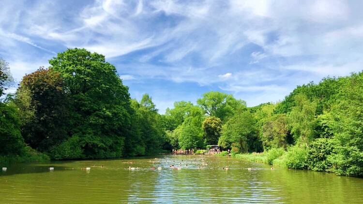 Hampstead Heath Mixed Pond, London