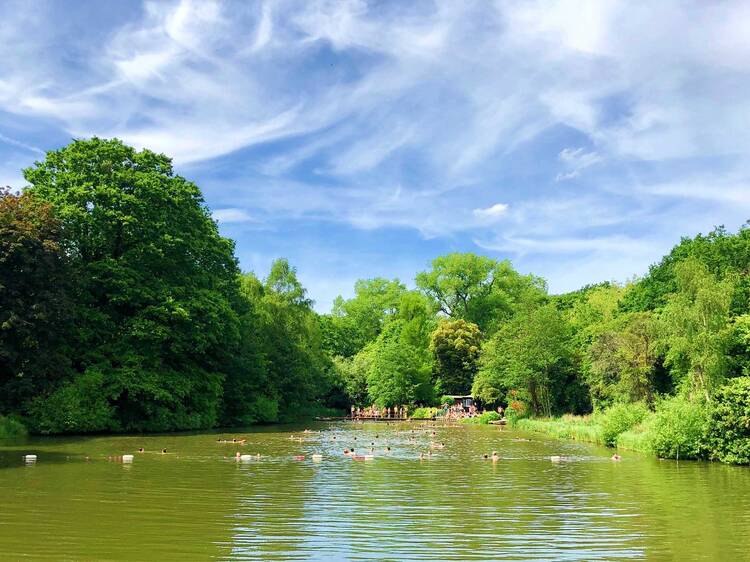 Hampstead Heath’s mixed swimming pond could soon be open all year round