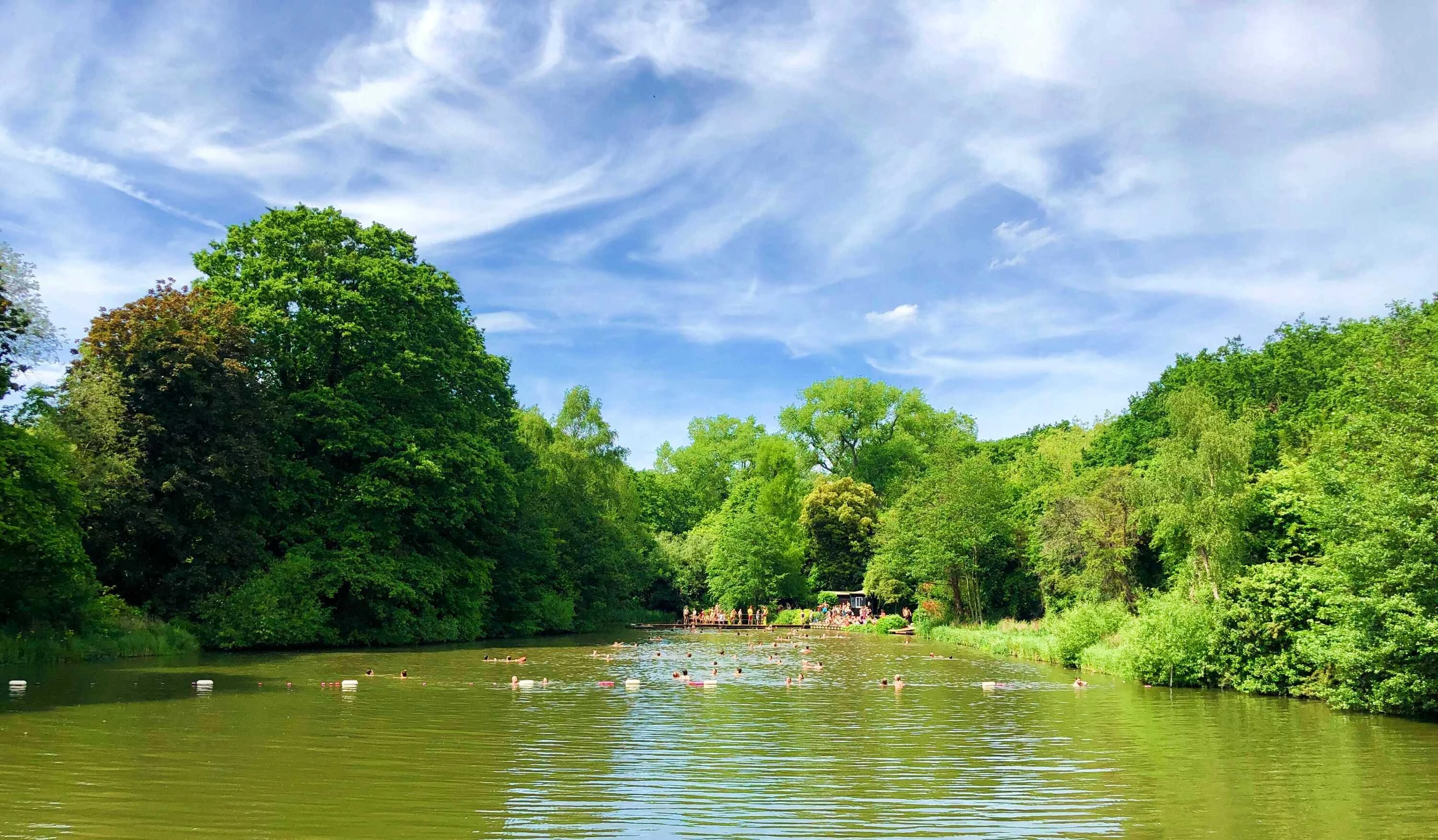 Hampstead Heath Mixed Pond, London