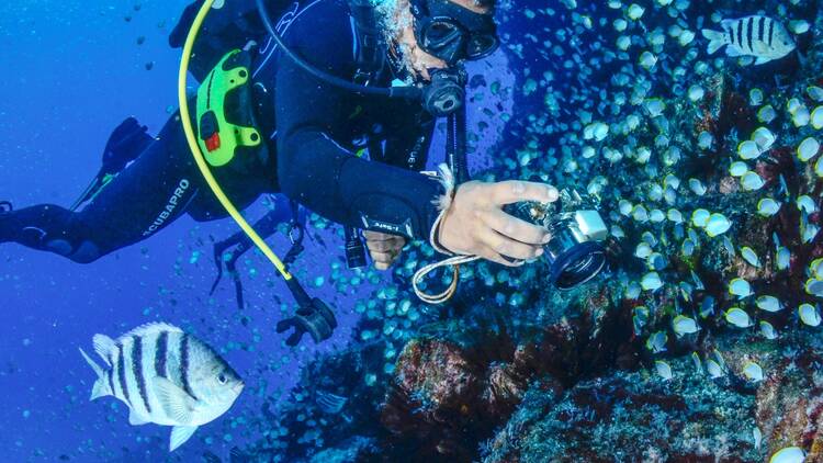 Dive and snorkel off the island's rugged coast