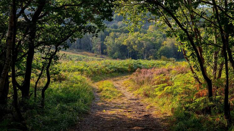 Trace 100 years of an iconic children’s character Trace 100 years of an iconic children’s character