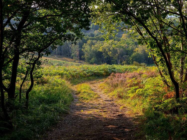 Trace 100 years of an iconic children’s character Trace 100 years of an iconic children’s character