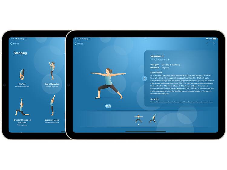 Pocket Yoga Pocket Yoga