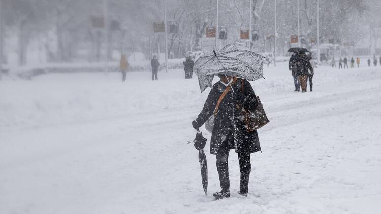 Montreal braces for powerful winds as gusts near 90 km per hour