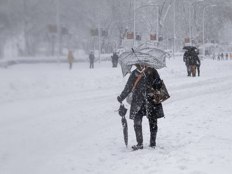 Montreal braces for powerful winds as gusts near 90 km per hour