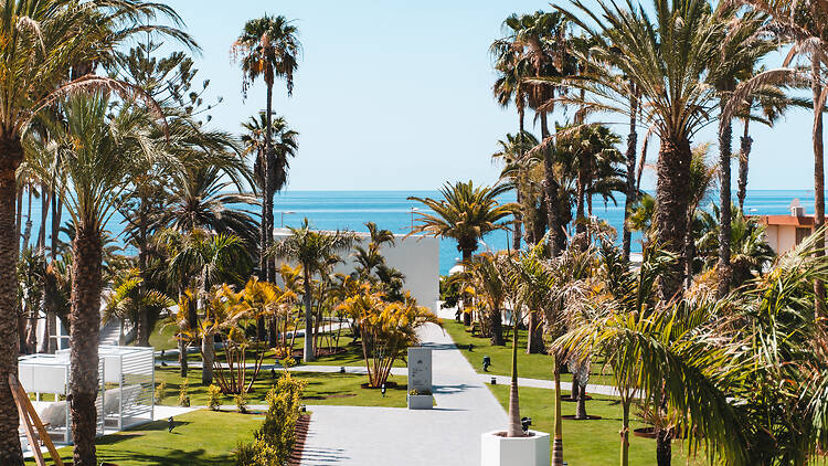 The gardens of Paradisus Gran Canaria 