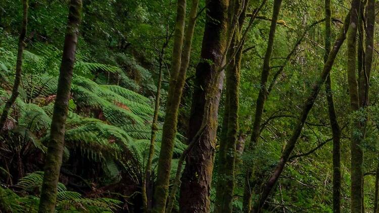 The best things to do in Tasmania