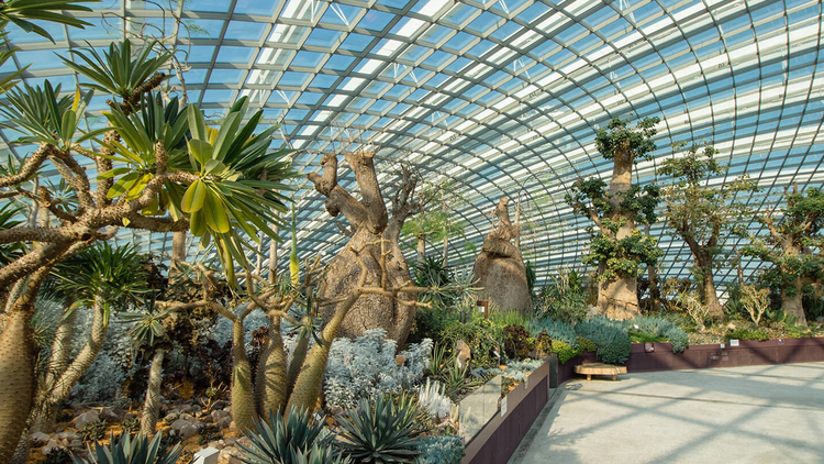 Gardens by the Bay Flower Dome Gardens by the Bay Flower Dome